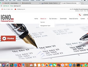 IGNO Professional Services